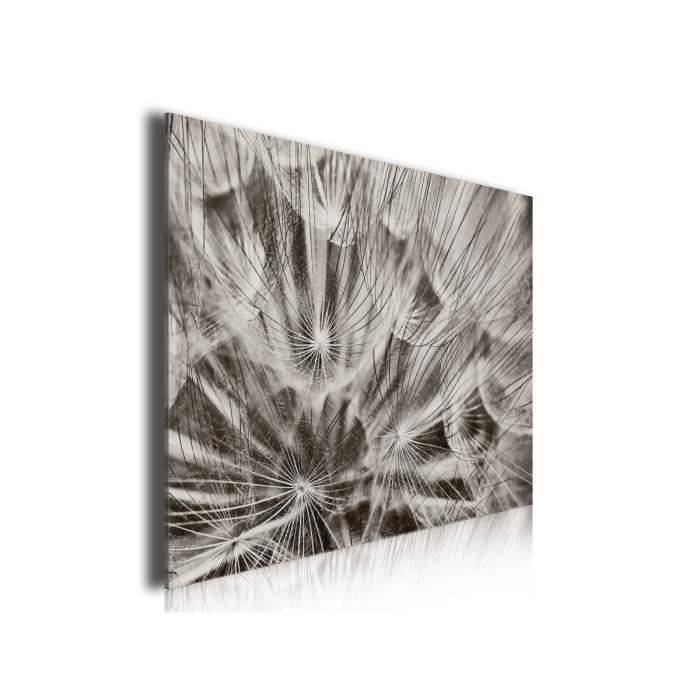 HXA DECO - Décoration Murale pour le Salon,Tableau Fleur, Photo Sur Toile Imprimée Pissenlits en Fleurs Noir Et Blanc,80x50cm