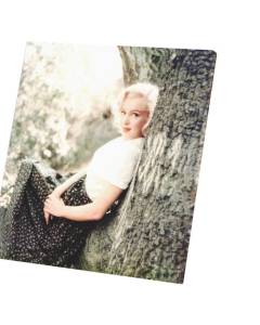Tableau Décoratif  Marilyn Monroe Foret Mannequin Sex Symbol Photo Vintage (60 cm x 65 cm)
