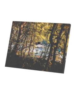 Tableau Décoratif  Rivière Coule dans la Forêt au Printemps Paysage Naturel (80 cm x 60 cm)