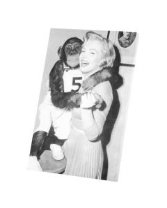 Tableau Décoratif  Marilyn Monroe Singe Mannequin Sex Symbol Photo Vintage (40 cm x 61 cm)