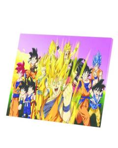 Tableau Décoratif  Dragon Ball Photo De Famille (47 cm x 40 cm)