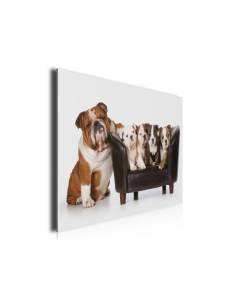 Tableau deco famille de bulldogs anglais, 80x50cm
