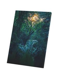 Tableau Décoratif  Le Soleil se Lève au Travers d'un Epais Feuillage Paysage Naturel (40 cm x 56 cm)