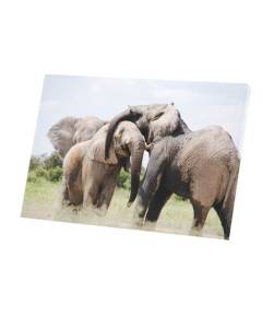Tableau Décoratif  Caresses d'Éléphants D'Afrique Vie Animale (60 cm x 40 cm)
