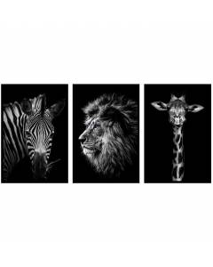 Trio portrait animaux d' Afrique, Set de 3 affiches d'art - 90x45cm