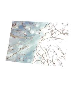 Tableau Décoratif  Branches de Cerisiers sur Fond de Ciel Bleu et Nuageux  (90 cm x 60 cm)