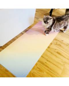 99 DECO - Tapis de sol vinyle antidérapant RAINBOW - 50x200cm - Multicolore - Mixte Adultes - L:200 H:50 cm
