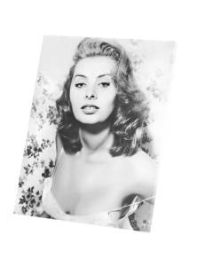 Tableau Décoratif  Photo de Star Célébrité Sophia Loren Actrice Vieux Cinéma Original 10  (60 cm x 76 cm)