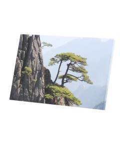 Tableau Décoratif  Paysage Apaisant Arbre Falaise Rocher Sichuan (40 cm x 60 cm)