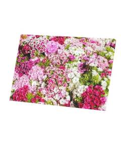 Tableau Décoratif  Oeillets Fleurs Nature Bouquet Parterre (45 cm x 30 cm)