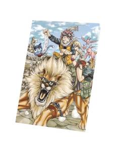 Tableau Décoratif  Fairy Tail Natsu Dragneel Lion (30 cm x 43 cm)