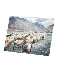 Tableau Décoratif  Chèvres dans la Montagne Vie Sauvage (40 cm x 30 cm)