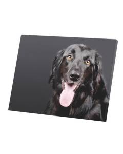 Tableau Décoratif  Labrador Noir Gros Chien Portrait Mignon (40 cm x 30 cm)