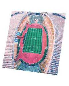 Tableau Décoratif  Stade de Football Multicolore Vue Aérienne Paysage Urbain (60 cm x 60 cm)