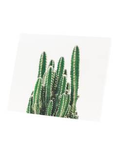Tableau Décoratif  Gros Plan Cactus Colonnaire Cereus Validus Vie Végétale (74 cm x 60 cm)