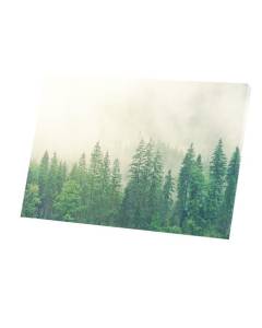 Tableau Décoratif  Forêt de Conifères dans la Brume Paysage Naturel (90 cm x 60 cm)