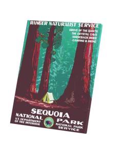 Tableau Décoratif  Sequoia Nationnal Park Us Travel Voyage (30 cm x 40 cm)