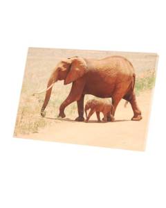 Tableau Décoratif  Éléphant et son Bébé Savane Animaux Sauvage Afrique (90 cm x 60 cm)