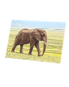 Tableau Décoratif  Elephant d'Afrique Prairie Verte Photo Nature Vie Sauvage (60 cm x 40 cm)