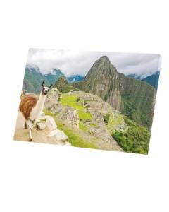 Tableau Décoratif  Machu Picchu Lama Selfie Peru Incas (60 cm x 40 cm)