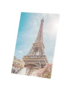 Tableau Décoratif  Tour Eiffel dans le Soleil Photo Paris France Printemps (40 cm x 60 cm)