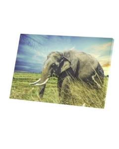 Tableau Décoratif  Elephant d'Asie Riziere Superbe Photo Nature Vie Sauvage (45 cm x 30 cm)
