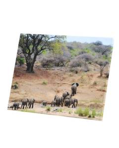Tableau Décoratif  Famille D'Elephant d'Afrique Traversent la Savane Vie Animale (76 cm x 60 cm)