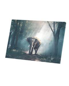 Tableau Décoratif  Elephant d'Asie Foret Photo Nature Vie Sauvage (44 cm x 30 cm)