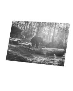 Tableau Décoratif  Éléphanteau Escalade un Tronc d'Arbre Animaux Sauvage Nature (45 cm x 30 cm)