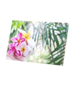 Tableau Décoratif  Fleurs de Plumeria Exotique Frangipanier Tropicales Bali (45 cm x 30 cm)