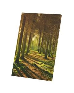 Tableau Décoratif  Soleil se Couche sur la Forêt Paysage Naturel Heure Jaune (40 cm x 60 cm)
