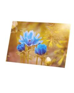 Tableau Décoratif  Fleurs Bleues dans le Soleil du Crépuscule Champêtre Nature  (45 cm x 30 cm)