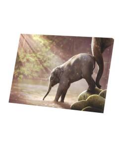 Tableau Décoratif  Bebe Elephant et Sa Maman Riviere Photo Nature Mignon (85 cm x 60 cm)