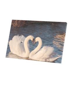 Tableau Décoratif  Cygnes Amoureux Coeur Parade Nuptiale Amour (90 cm x 60 cm)