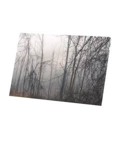 Tableau Décoratif  Rapace au Milieu de la Forêt Champêtre Nature  (45 cm x 30 cm)