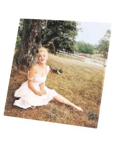 Tableau Décoratif  Marilyn Monroe Prairie Mannequin Sex Symbol Photo Vintage (40 cm x 40 cm)
