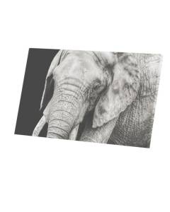 Tableau Décoratif  Tete D'Elephant Matriarche Beaute Sauvage (96 cm x 60 cm)