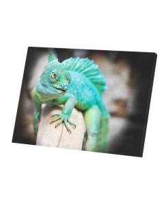 Tableau Décoratif  Iguane Vert Reptile Animal Exotique Sauvage Photo Nature (42 cm x 30 cm)