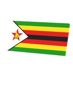 Tableau Décoratif  Drapeau Zimbabwe Football Sport Equipe National Afrique (80 cm x 40 cm)