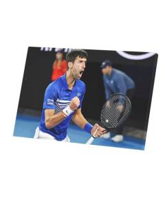 Tableau Décoratif  Victorieux Novak Djokovic Tennis Superstar Sport (60 cm x 40 cm)