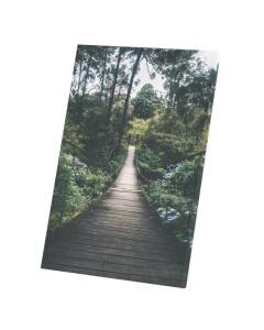 Tableau Décoratif  Pont en Bois Suspendu dans la Jungle (60 cm x 90 cm)
