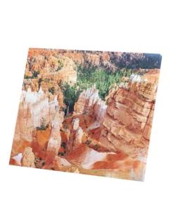 Tableau Décoratif  Canyon Rouge Beaute De La Nature (47 cm x 40 cm)