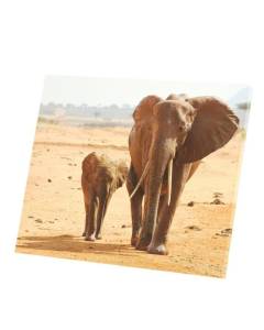 Tableau Décoratif  Elephant et son Petit Marche dans la Savane Afrique (48 cm x 40 cm)