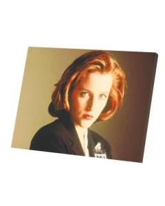 Tableau Décoratif  Gillian Anderson X Files Dana Scully Actrice Science Fiction TV (40 cm x 30 cm)