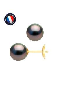 PERLINEA - Boucles d'Oreilles - Véritables Perles de Culture de Tahiti 8-9 mm - Or Jaune - Bijoux Femme