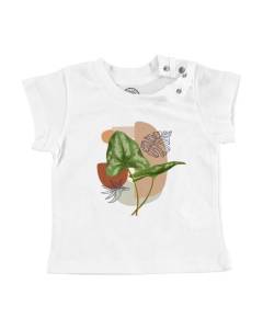 T-shirt Bébé Manche Courte Blanc Philodendron Plante Tropical Exotique Jungle