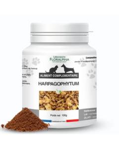 L'harpagophytum procumbens est un complément alimentaire naturel permettant de soulager le chat et le chien des douleurs articulaire