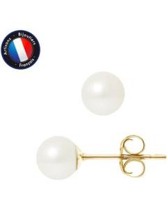 PERLINEA - Boucles d'Oreilles - Véritables Perles de Culture d'Eau Douce Rondes 6-7 mm Gold - Bijoux Femme - Or Jaune