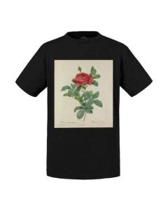 T-shirt Enfant Noir Rose Planche Illustration Botanique Ancienne Fleurs