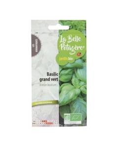 Graines à semer - Basilic grand vert - 0,5 g